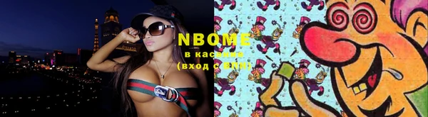 МДПВ Нея