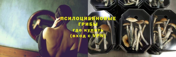 МДПВ Нея