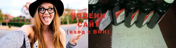 МДПВ Нея