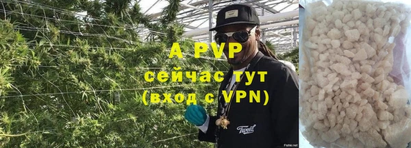 МДПВ Нея