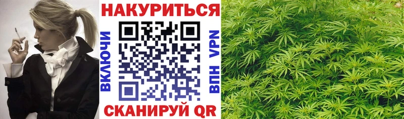 магазин продажи наркотиков  Чехов  Бошки Шишки гибрид 